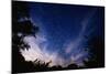 Mexican Freetail Bats near Bracken Cave-W. Perry Conway-Mounted Photographic Print