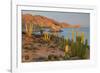 Mexican giant cardon cactus with Elephant Rock beyond, Mexico-Claudio Contreras-Framed Photographic Print