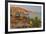 Mexican giant cardon cactus with Elephant Rock beyond, Mexico-Claudio Contreras-Framed Photographic Print