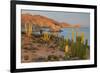 Mexican giant cardon cactus with Elephant Rock beyond, Mexico-Claudio Contreras-Framed Photographic Print