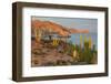 Mexican giant cardon cactus with Elephant Rock beyond, Mexico-Claudio Contreras-Framed Photographic Print