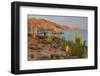 Mexican giant cardon cactus with Elephant Rock beyond, Mexico-Claudio Contreras-Framed Photographic Print