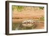 Mexican Ground Squirrel-Gary Carter-Framed Photographic Print