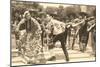 Mexican Hat Dance, Photo-null-Mounted Art Print
