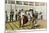 Mexican Hat Dance-null-Mounted Art Print