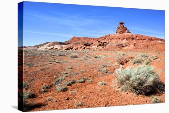 Mexican Hat Rock in the San Juan River Valley, on Highway 261, Utah-Richard Wright-Stretched Canvas