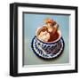 Mexican Hot Chocolate-Lucia Heffernan-Framed Art Print