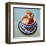 Mexican Hot Chocolate-Lucia Heffernan-Framed Art Print