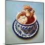 Mexican Hot Chocolate-Lucia Heffernan-Mounted Art Print