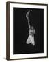 Mexican Jai Alai Player Segundo Jumping to Reach Pelota in Game at Hippodrome-Gjon Mili-Framed Premium Photographic Print