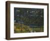 Mexican Landscape with Sheep, Campo Michuacano Con Ovejas, 19th Century-Joaquin Clausell-Framed Giclee Print