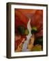 Mexican Laundry-John Newcomb-Framed Giclee Print