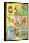 Mexican Loteria Cards-null-Framed Stretched Canvas