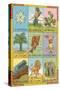 Mexican Loteria Cards-null-Stretched Canvas