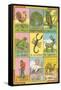 Mexican Loteria Cards-null-Framed Stretched Canvas