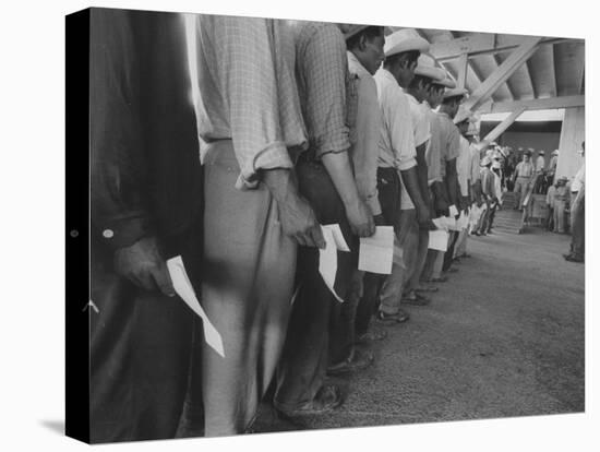 Mexican Migrant Farm Workers Lined Up for Job Interviews and to Sign Contracts at Reception Center-null-Stretched Canvas