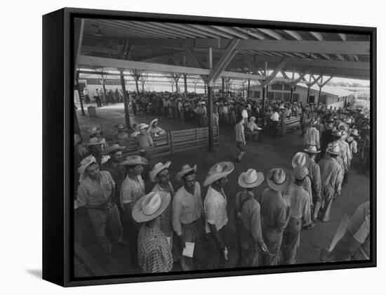 Mexican Migrant Farm Workers Lined Up for Work Interviews and to Sign Job Contracts-null-Framed Stretched Canvas