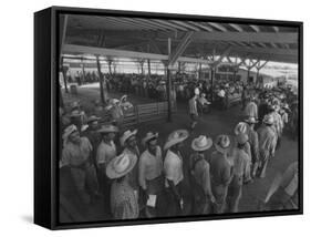 Mexican Migrant Farm Workers Lined Up for Work Interviews and to Sign Job Contracts-null-Framed Stretched Canvas