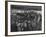 Mexican Migrant Farm Workers Lined Up for Work Interviews and to Sign Job Contracts-null-Framed Photographic Print