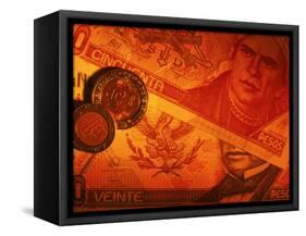 Mexican Money-Peter Adams-Framed Stretched Canvas