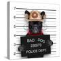 Mexican Mugshot Dog-Javier Brosch-Stretched Canvas