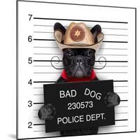 Mexican Mugshot Dog-Javier Brosch-Mounted Photographic Print