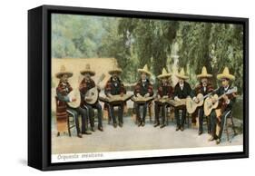 Mexican Orchestra-null-Framed Stretched Canvas