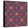 Mexican Pattern-Sangoiri-Framed Stretched Canvas