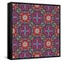 Mexican Pattern-Sangoiri-Framed Stretched Canvas