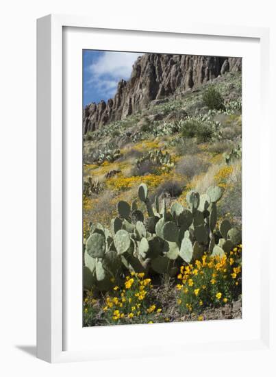 Mexican Poppies, Prickly-Pear and Other Chihuahuan Desert Plants in Rockhound State Park, NM-null-Framed Photographic Print