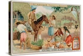 Mexican Ranchers and Cowboys-null-Stretched Canvas