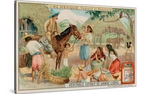 Mexican Ranchers and Cowboys-null-Stretched Canvas