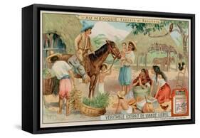 Mexican Ranchers and Cowboys-null-Framed Stretched Canvas