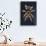 Mexican Red Knee Tarantula (Brachypelma Smithi), captive, Mexico, North America-Janette Hill-Framed Stretched Canvas displayed on a wall