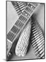 Mexican Revolution, Guitar, Corn and Ammunition Belt, Mexico City, 1927-Tina Modotti-Mounted Giclee Print