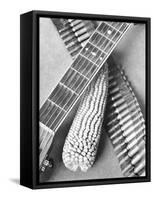 Mexican Revolution, Guitar, Corn and Ammunition Belt, Mexico City, 1927-Tina Modotti-Framed Stretched Canvas