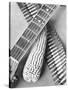 Mexican Revolution, Guitar, Corn and Ammunition Belt, Mexico City, 1927-Tina Modotti-Stretched Canvas