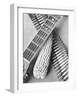Mexican Revolution, Guitar, Corn and Ammunition Belt, Mexico City, 1927-Tina Modotti-Framed Giclee Print