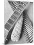 Mexican Revolution, Guitar, Corn and Ammunition Belt, Mexico City, 1927-Tina Modotti-Mounted Giclee Print