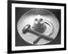 Mexican Revolution: Sombrero with Hammer and Sickle, Mexico City, 1927-Tina Modotti-Framed Premium Giclee Print