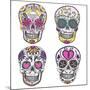 Mexican Skull Set. Colorful Skulls With Flower And Heart Ornamens. Sugar Skulls-cherry blossom girl-Mounted Premium Giclee Print