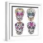 Mexican Skull Set. Colorful Skulls With Flower And Heart Ornamens. Sugar Skulls-cherry blossom girl-Framed Art Print