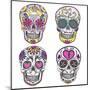Mexican Skull Set. Colorful Skulls With Flower And Heart Ornamens. Sugar Skulls-cherry blossom girl-Mounted Art Print