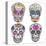 Mexican Skull Set. Colorful Skulls With Flower And Heart Ornamens. Sugar Skulls-cherry blossom girl-Stretched Canvas