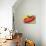 Mexican Sombrero-null-Stretched Canvas displayed on a wall