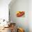 Mexican Sombrero-null-Art Print displayed on a wall