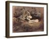 Mexican Wolf-Rusty Frentner-Framed Giclee Print