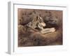 Mexican Wolf-Rusty Frentner-Framed Giclee Print