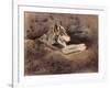 Mexican Wolf-Rusty Frentner-Framed Giclee Print