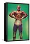 Mexican Wrestler Body Builder-null-Framed Stretched Canvas